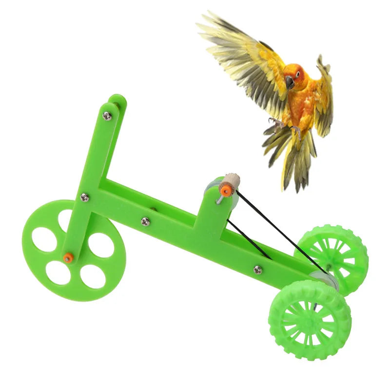 The AeroRide™ Parrot Bike Training Toy