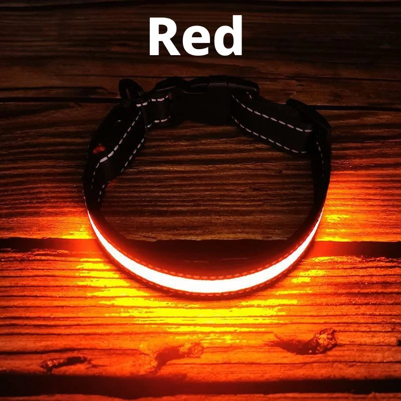 The AeroGlow™ Iridescent LED Safety Dog Collar