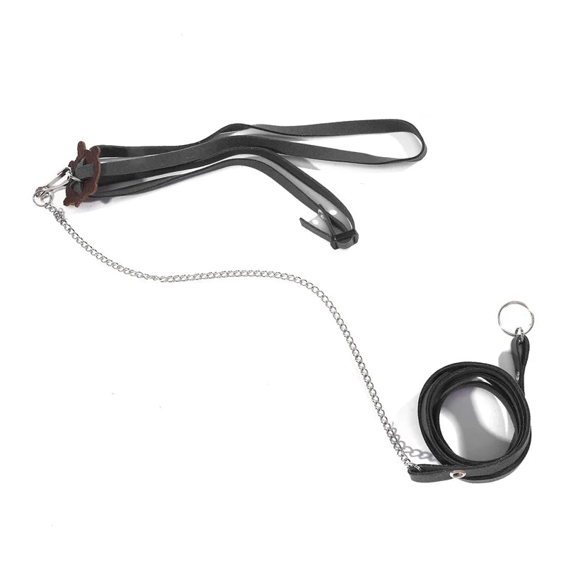 The AeroLeash™ PU Leather Turtle Walking Harness & Leash