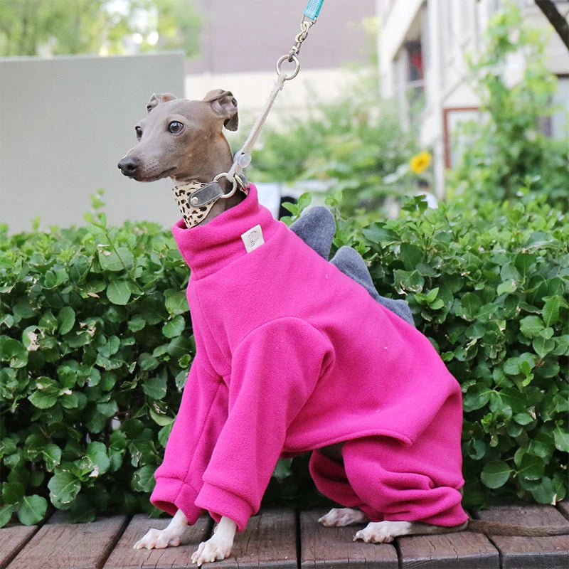 The AeroRex™ Greyhound, Italian Greyhound, Whippet & Afghan Hound Dinosaur Turtleneck Coat