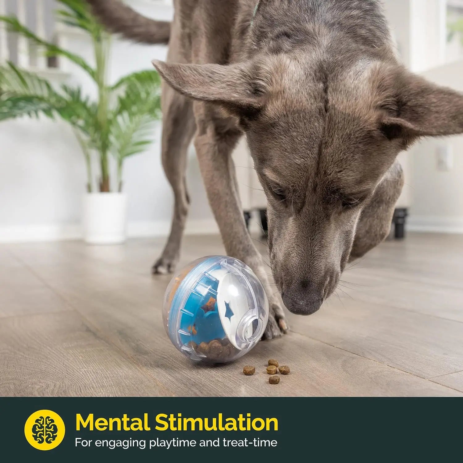 The AeroRoll™ IQ Treat Dispenser Ball