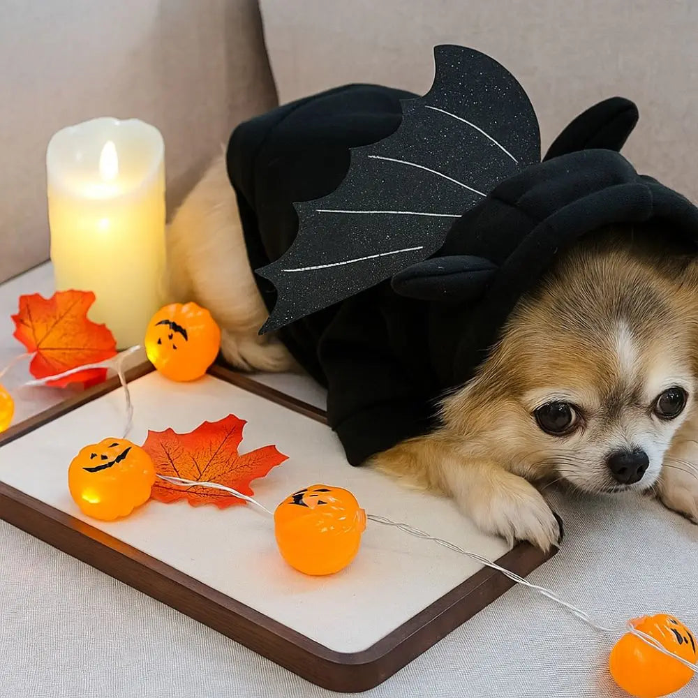 The AeroWing™ Halloween Winged Pet Costume — Soft Cosplay Sweater for Dogs & Cats