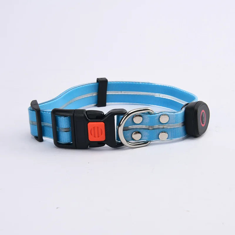 The AeroLume™ LED Dog Collar & Leash Set — USB Rechargeable Flashing Night Safety Set