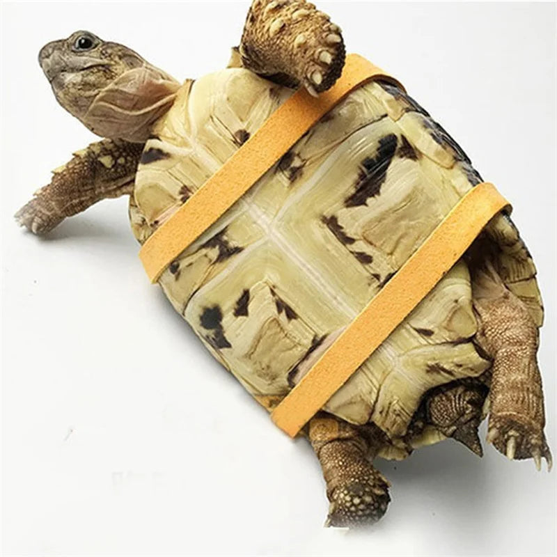 The AeroLeash™ PU Leather Turtle Walking Harness & Leash