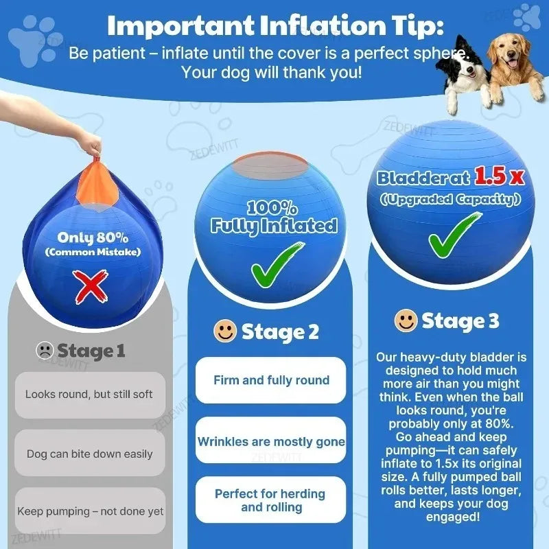 The AeroBounce™ Inflatable Interactive Dog Ball