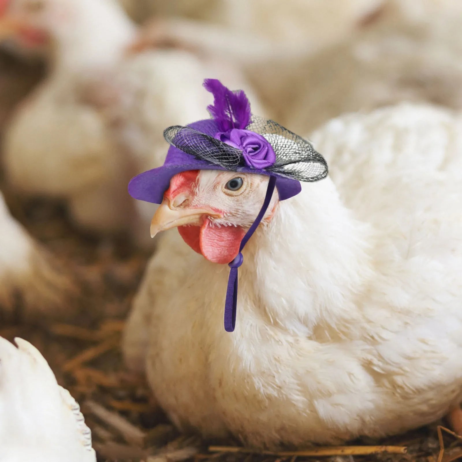 The AeroCrown™ Tiny Feathery Pet Top Hat