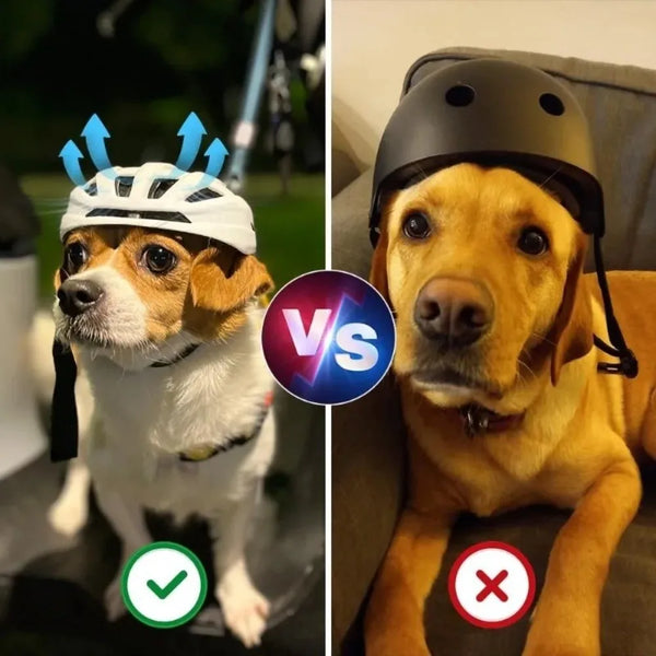 The AeroRide™ Breathable Pet Motorcycle Helmet | 3 Colors × 3 Sizes
