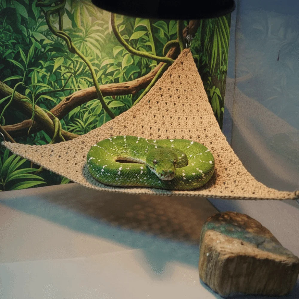 The AeroLounge™ Suction Cup Lizard Hammock | Breathable Mesh Reptile Hammock