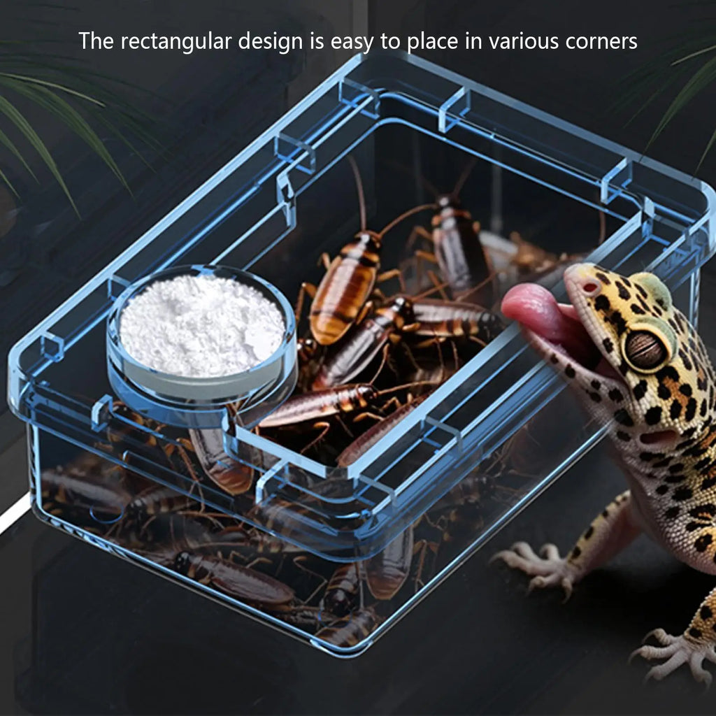 The AeroFeed™ Anti-Escape Reptile Feeding Bowl | Lizards, Geckos & More