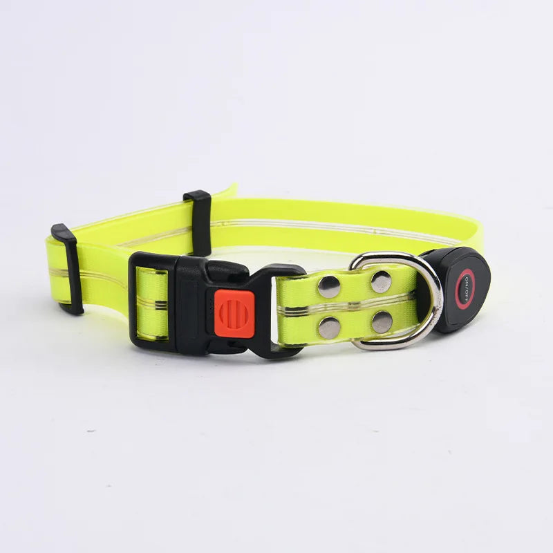The AeroLume™ LED Dog Collar & Leash Set — USB Rechargeable Flashing Night Safety Set