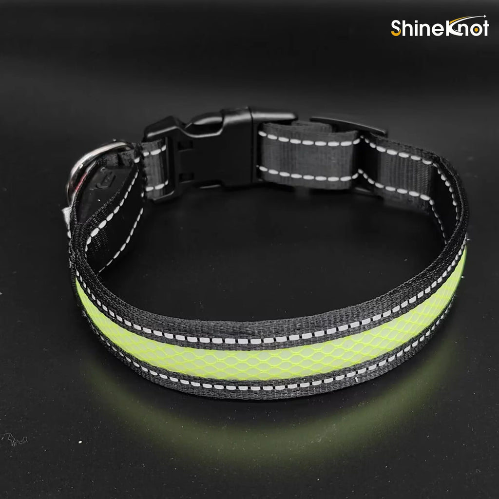 The AeroGlow™ Iridescent LED Safety Dog Collar