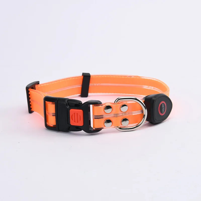 The AeroLume™ LED Dog Collar & Leash Set — USB Rechargeable Flashing Night Safety Set