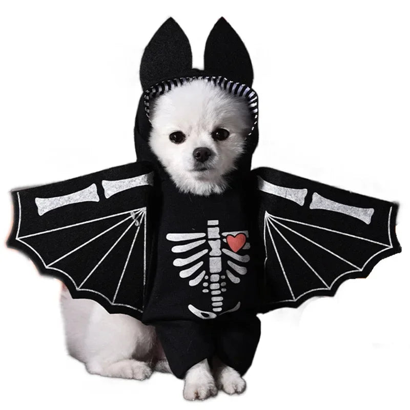 The AeroHalloween™ 3-Piece Pet Transformation Costume — Halloween Dagger Dress for Dogs & Cats