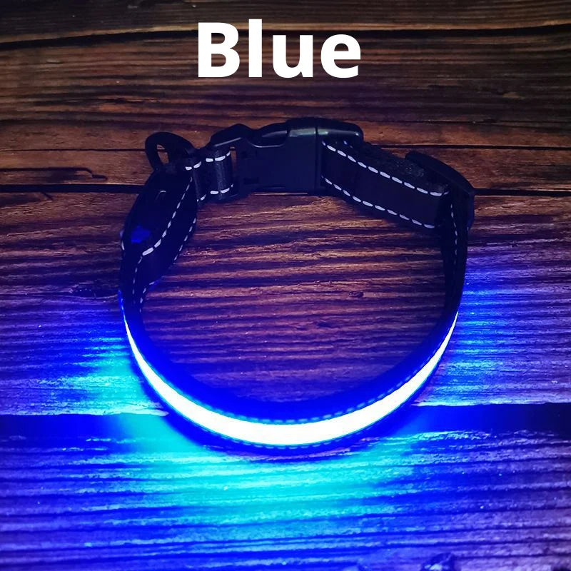 The AeroGlow™ Iridescent LED Safety Dog Collar