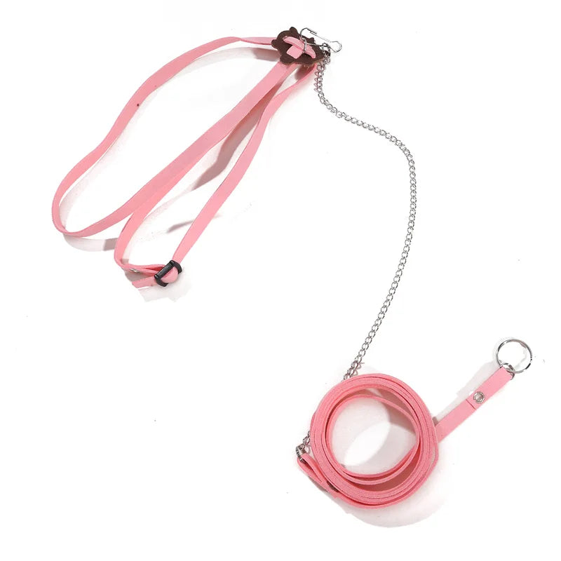 The AeroLeash™ PU Leather Turtle Walking Harness & Leash