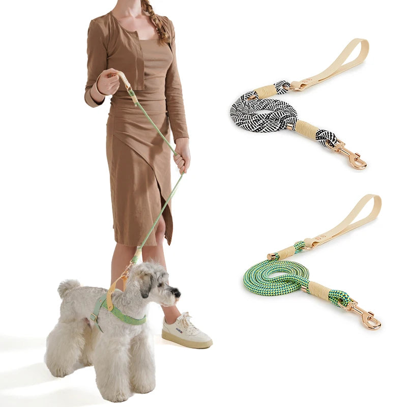 The AeroWalk™ Solid Nylon Dog & Cat Leash | Classic Style