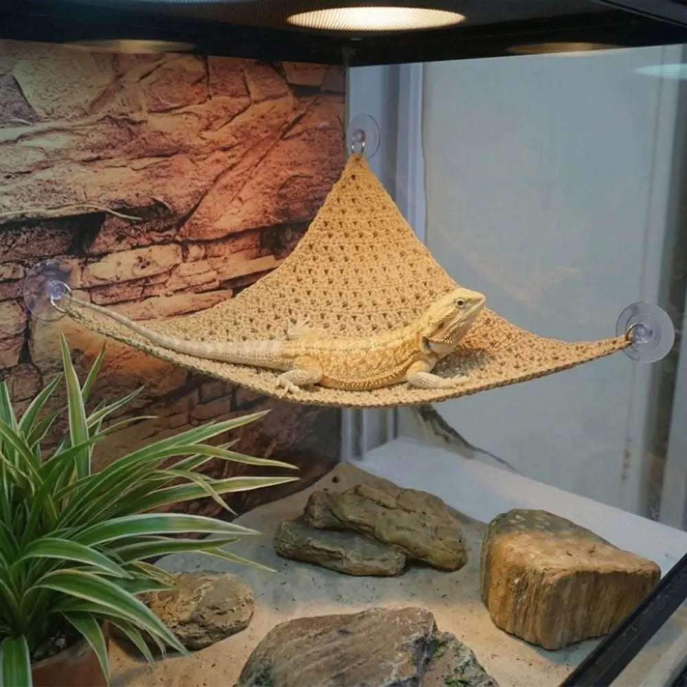 The AeroLounge™ Suction Cup Lizard Hammock | Breathable Mesh Reptile Hammock