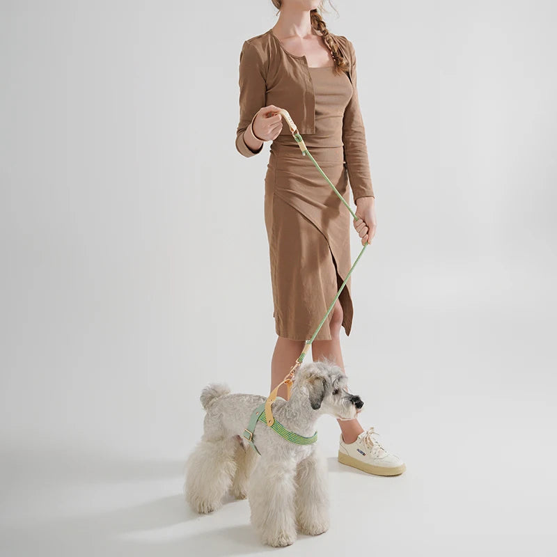 The AeroWalk™ Solid Nylon Dog & Cat Leash | Durable PVC Handle