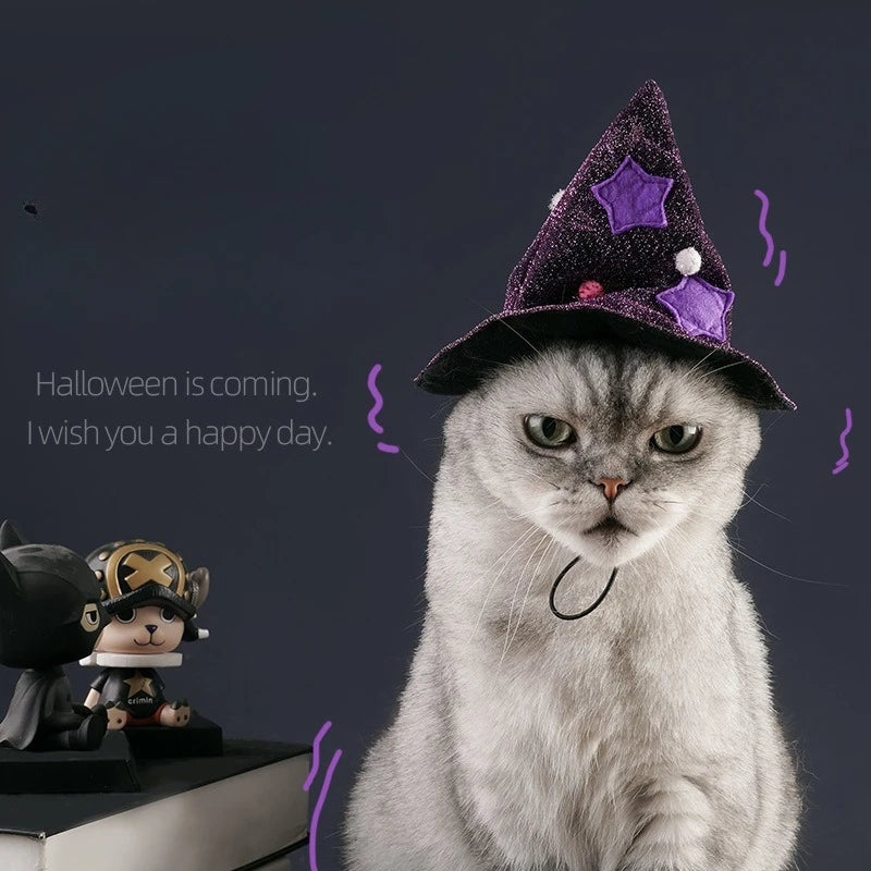 The AeroWitch™ Halloween Witch Costume — Purple Cloak & Magic Hat for Dogs & Cats