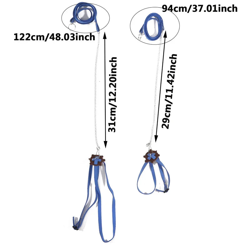 The AeroLeash™ PU Leather Turtle Walking Harness & Leash
