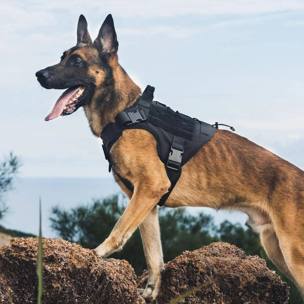 The AeroTac™ Tactical Dog Harness Vest