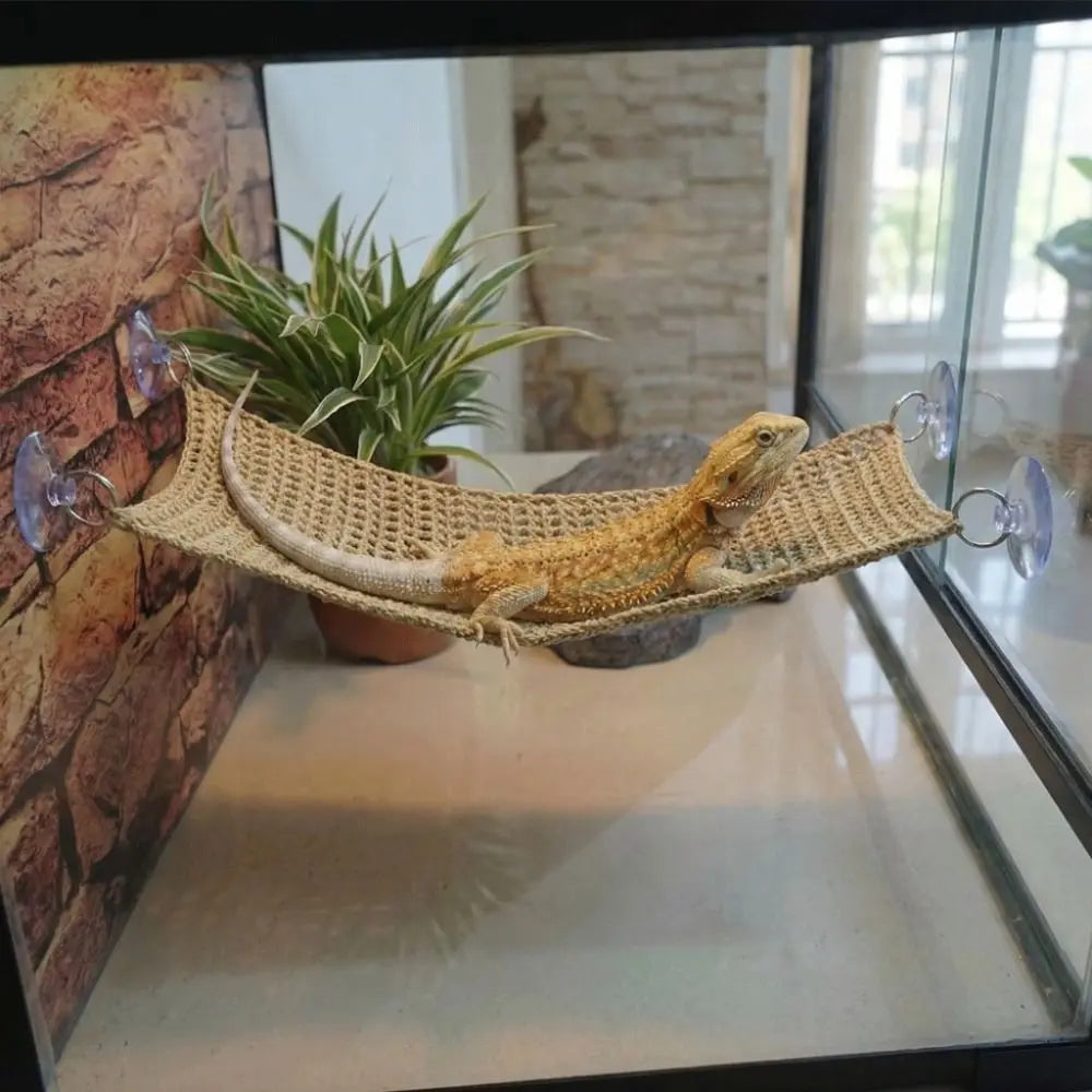 The AeroLounge™ Suction Cup Lizard Hammock | Breathable Mesh Reptile Hammock