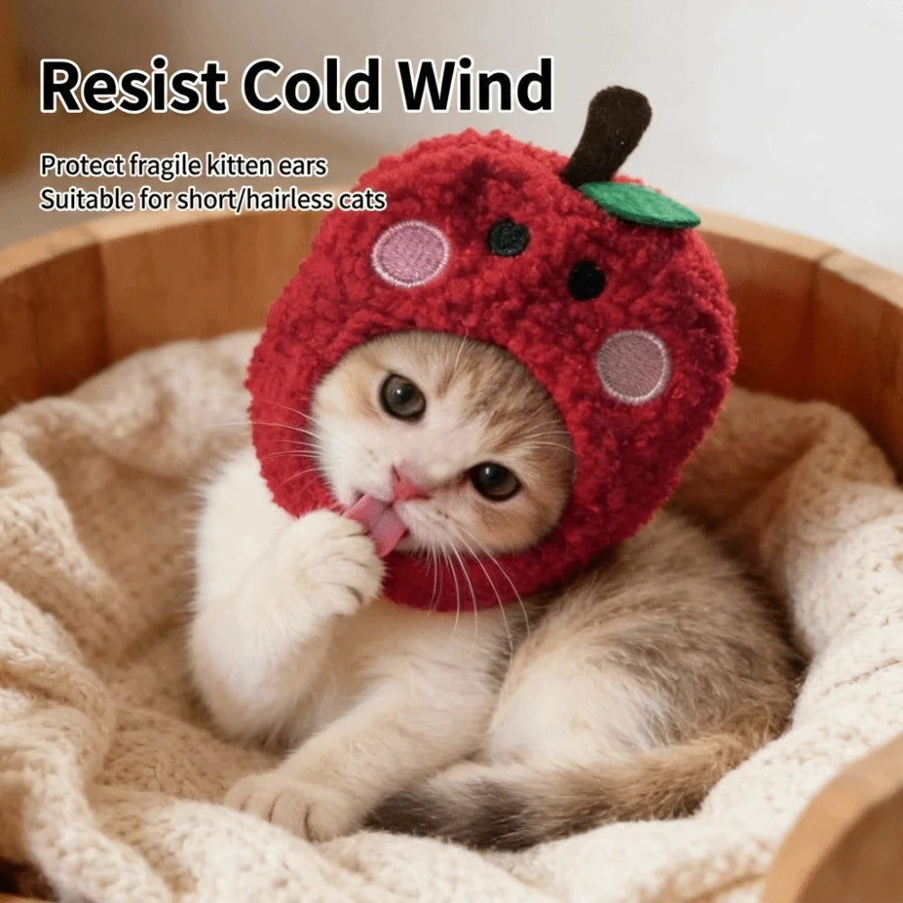 The AeroCharm™ Novelty Fruit & Character Pet Hat | 6 Styles