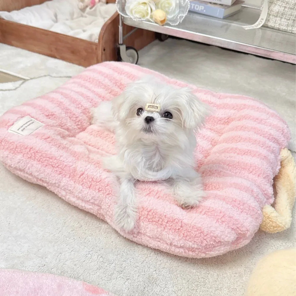 The AeroDream™ Oval Plush Pet Bed | All-Season Comfort for Cats & Dogs