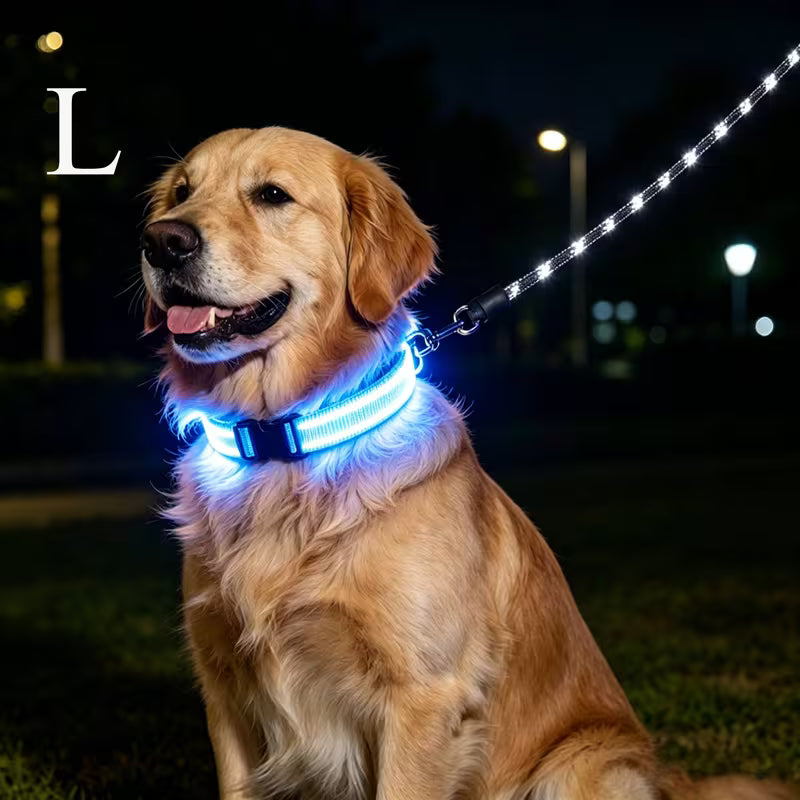 The AeroGlow™ LED Luminous Dog Collar with USB Charger — Night Safety, 4 Colors, S–XL