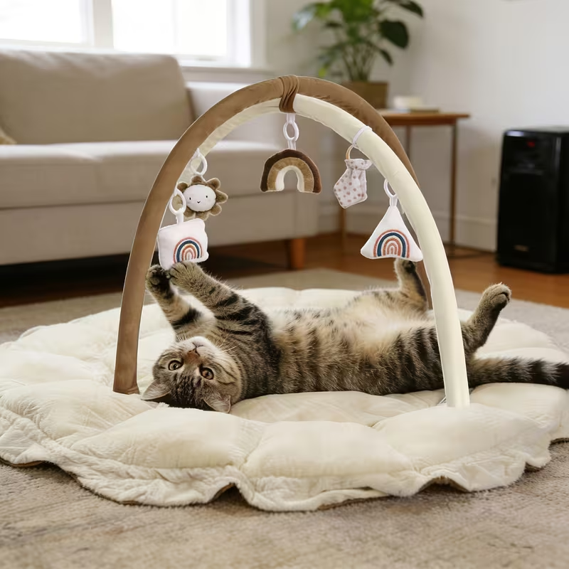 AeroNest in pink with arch frame and hanging toys in living room