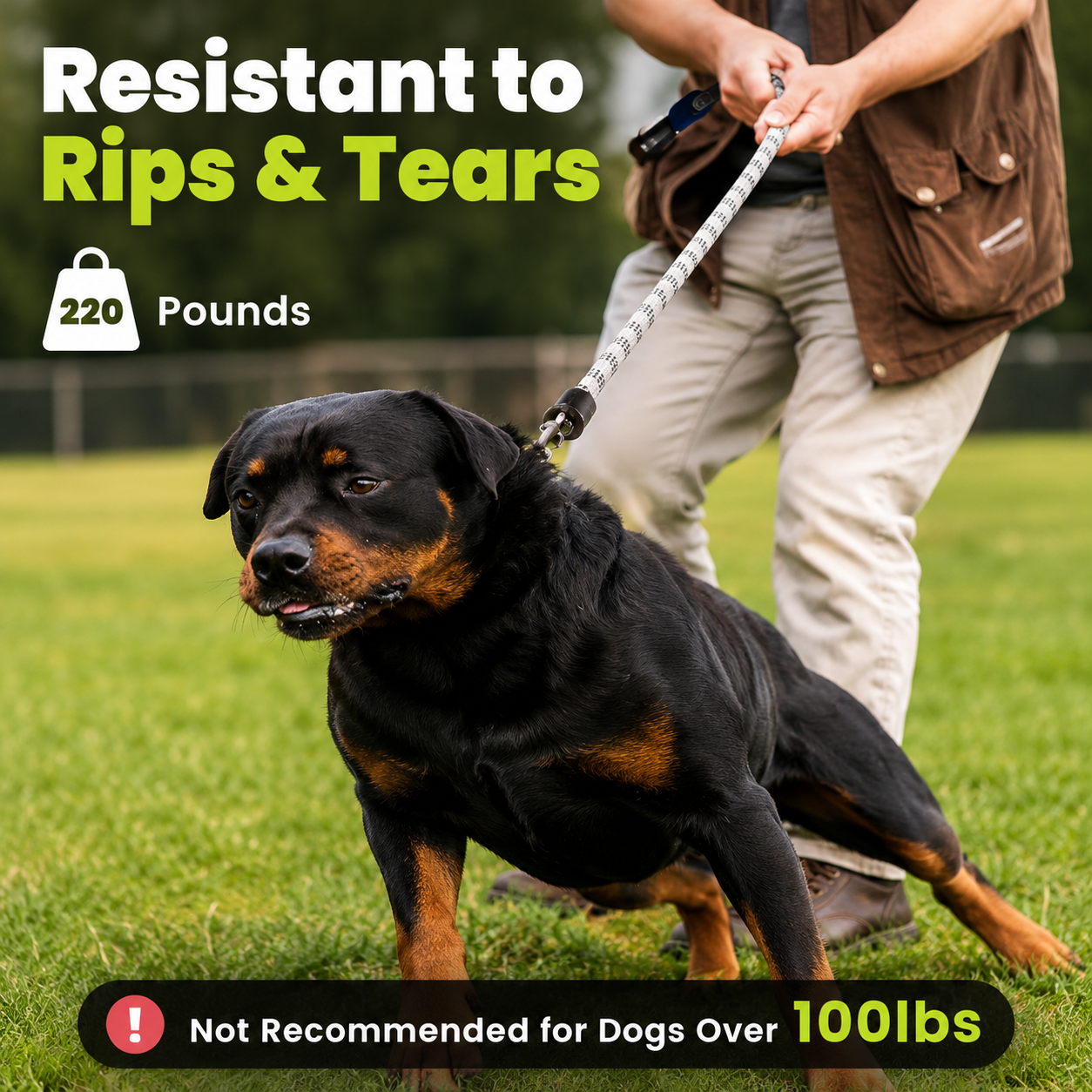 The AeroGlow™ LED Light-Up Dog Leash — 1000 Ft Visibility, 13 Lighting Modes, Rechargeable