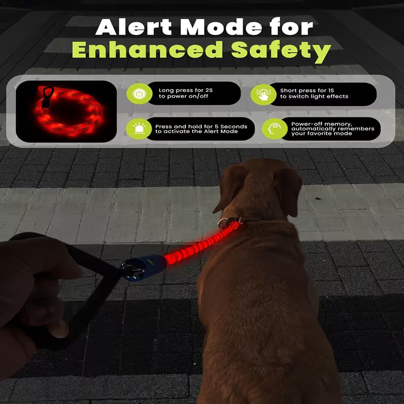 The AeroGlow™ LED Light-Up Dog Leash — 1000 Ft Visibility, 13 Lighting Modes, Rechargeable