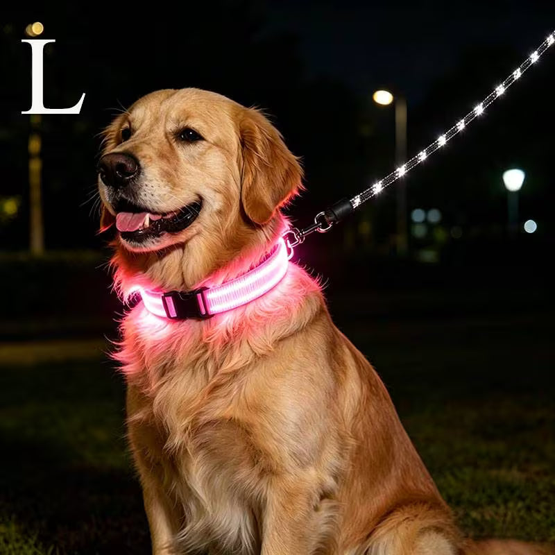 The AeroGlow™ LED Luminous Dog Collar with USB Charger — Night Safety, 4 Colors, S–XL