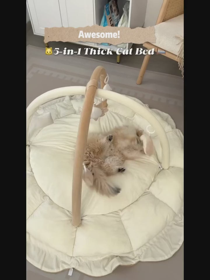 The AeroNest™ 5-in-1 Convertible Pet Gym & Bed
