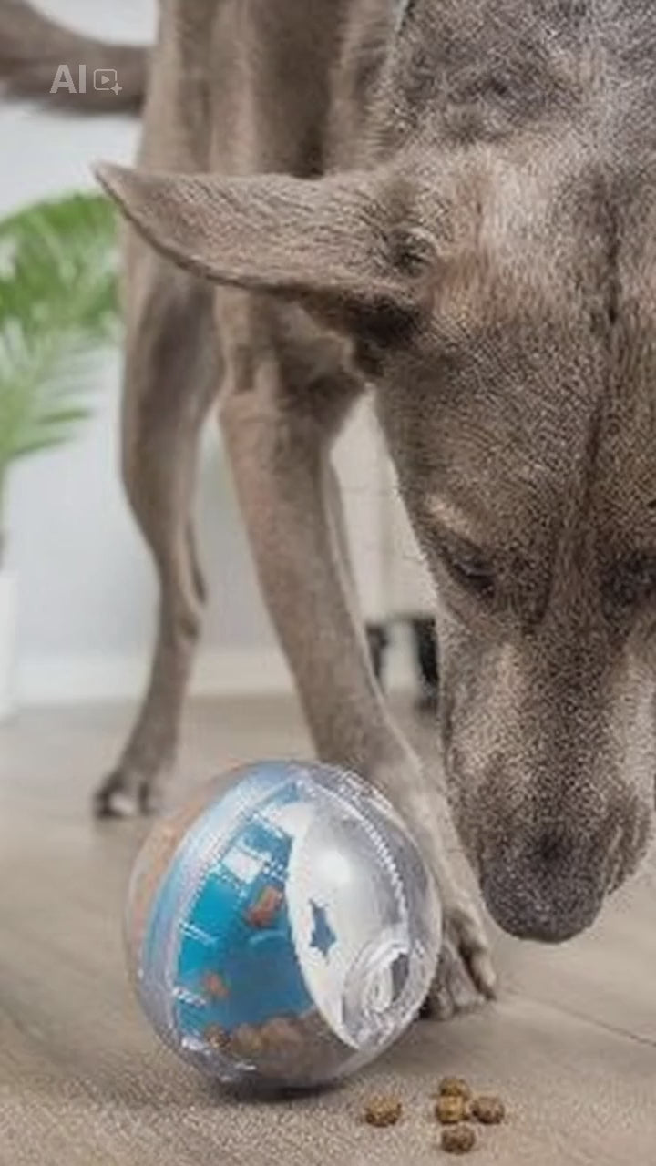 The AeroBall™ Interactive Slow Feeder & Treat Dispenser for Dogs