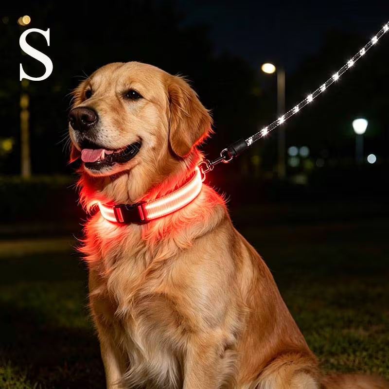 The AeroGlow™ LED Luminous Dog Collar with USB Charger — Night Safety, 4 Colors, S–XL