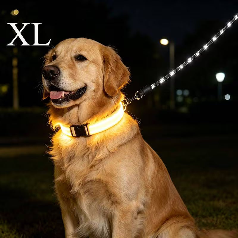 The AeroGlow™ LED Luminous Dog Collar with USB Charger — Night Safety, 4 Colors, S–XL